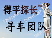 找车寻车公司