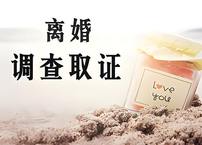 调查取证申请书范文有哪些？