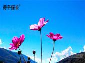 老公出轨回归后感情变淡怎么办？
