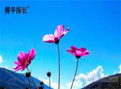 自贡婚外情调查：什么样的录音取证才有效？