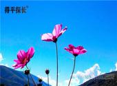 安阳寻人公司：怎么快速找人？