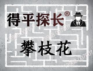 攀枝花悬赏寻找