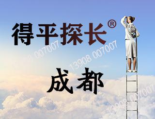 成都调查取证