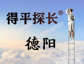 德阳调查取证
