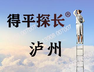 泸州调查取证