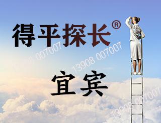 宜宾调查取证