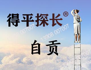 自贡调查取证