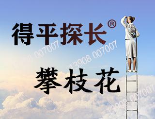 攀枝花调查取证