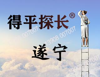 遂宁调查取证
