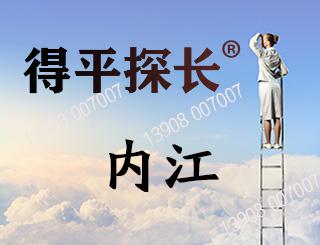 内江调查取证