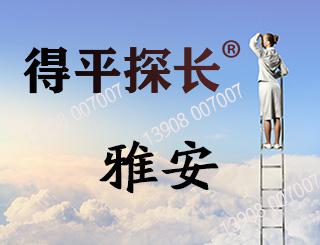 雅安调查取证