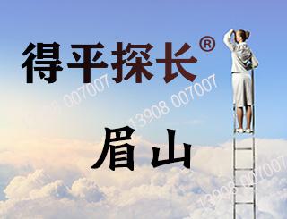 眉山调查取证