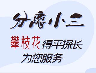 攀枝花分离小三公司