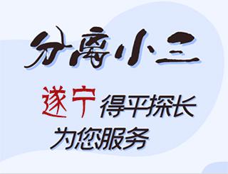 遂宁分离小三公司