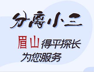 眉山分离小三公司