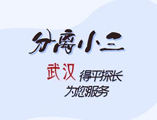 武汉分离小三公司