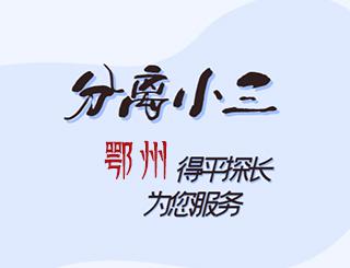鄂州分离小三公司